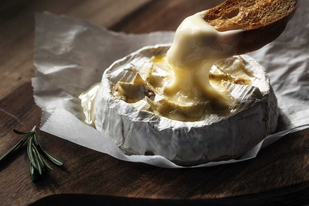 Darf Ich Ofenkäse In Der Schwangerschaft Essen mampfbar.de