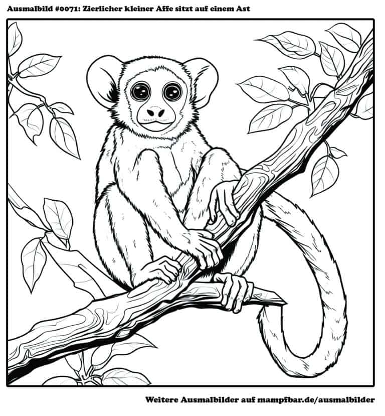 10 schöne Affen-Ausmalbilder zum Ausdrucken | mampfbar