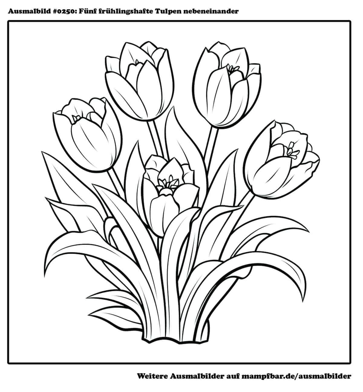 9 schöne Blumen-Ausmalbilder zum Ausdrucken | mampfbar