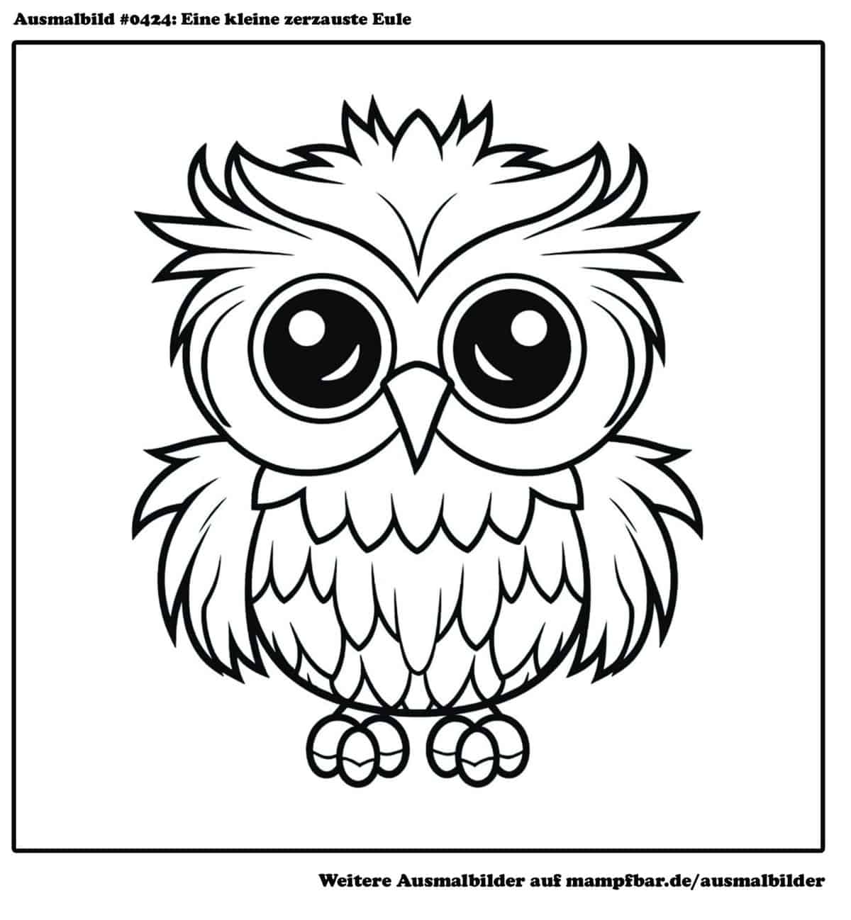 12 schöne Eulen-Ausmalbilder zum Ausdrucken | mampfbar